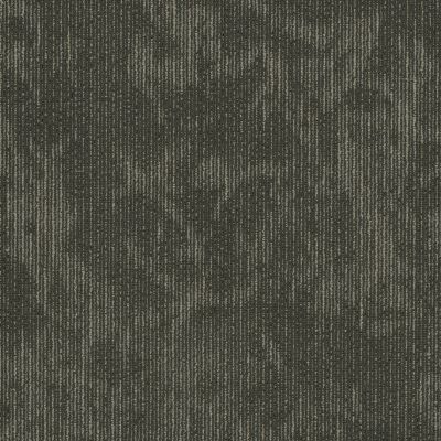 Shaw Floors Cultured Collection Esthetic Composition 00505_54918