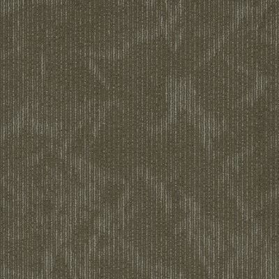 Shaw Floors Cultured Collection Esthetic Distinction 00700_54918