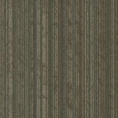 Shaw Floors Take Shape Collection Sort Twist 00210_54919