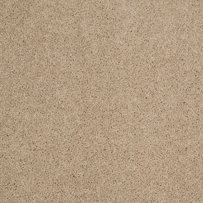 Shaw Floors Shaw Flooring Gallery Embark Dunes 00102_5506G