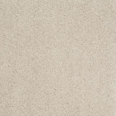 Shaw Floors Shaw Flooring Gallery Embark Canvas 00103_5506G