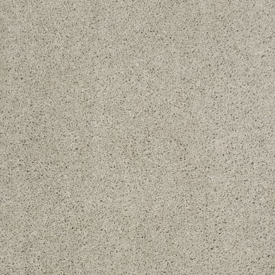 Shaw Floors Shaw Flooring Gallery Embark Cold Water 00510_5506G