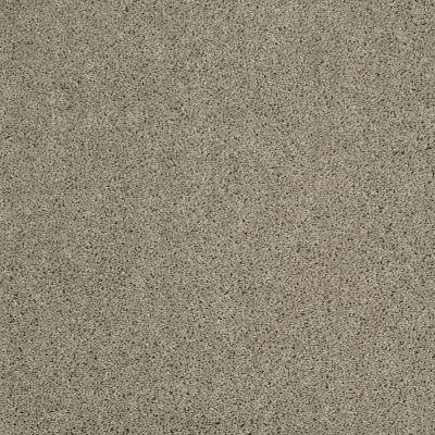 Shaw Floors Shaw Flooring Gallery Embark Gray Flannel 00511_5506G