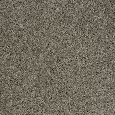 Shaw Floors Shaw Flooring Gallery Embark Pewter 00513_5506G