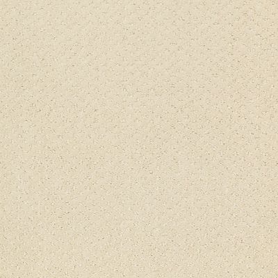 Shaw Floors Shaw Flooring Gallery Departure Canvas 00103_5510G