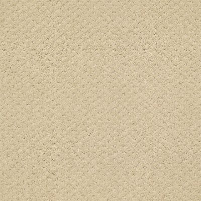 Shaw Floors Shaw Flooring Gallery Departure Frost 00104_5510G