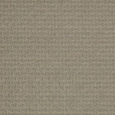 Shaw Floors Shaw Flooring Gallery Fast Lane Gray Flannel 00511_5511G