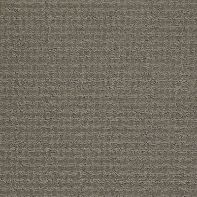 Shaw Floors Shaw Flooring Gallery Fast Lane Pewter 00513_5511G