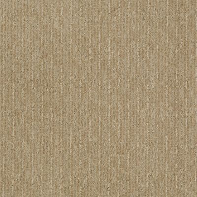 Shaw Floors Shaw Flooring Gallery Speed Tunnel Wool Skein 00111_5513G