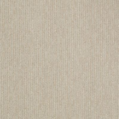 Shaw Floors Shaw Flooring Gallery Speed Tunnel Mist 00112_5513G