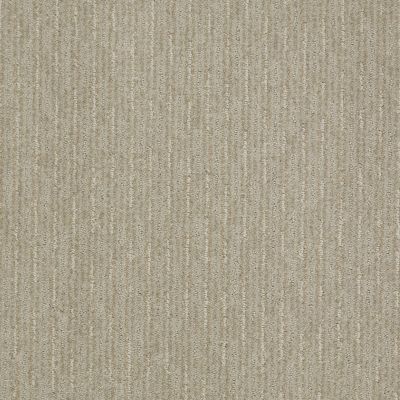Shaw Floors Shaw Flooring Gallery Speed Tunnel Cold Water 00510_5513G