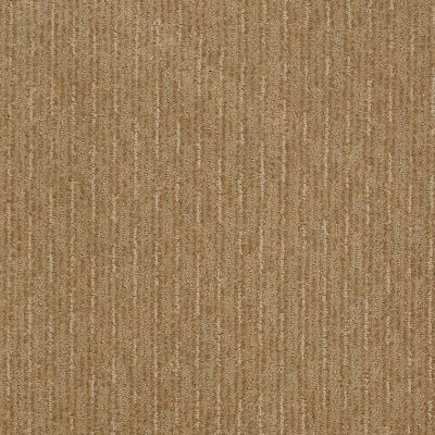 Shaw Floors Shaw Flooring Gallery Speed Tunnel Natural Wood 00701_5513G