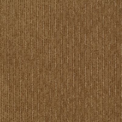 Shaw Floors Shaw Flooring Gallery Speed Tunnel Leather Bound 00702_5513G