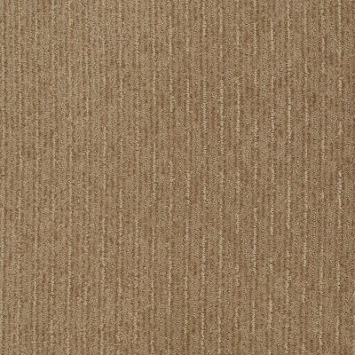 Shaw Floors Shaw Flooring Gallery Speed Tunnel Mushroom 00703_5513G