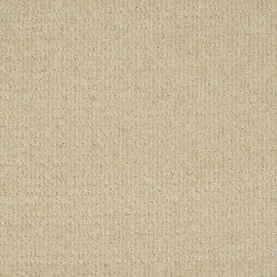 Shaw Floors Shaw Flooring Gallery Unleashed Linen 00101_5514G