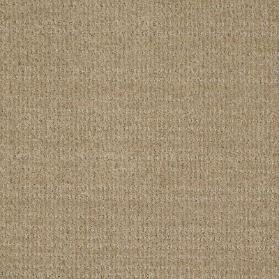 Shaw Floors Shaw Flooring Gallery Unleashed Wool Skein 00111_5514G