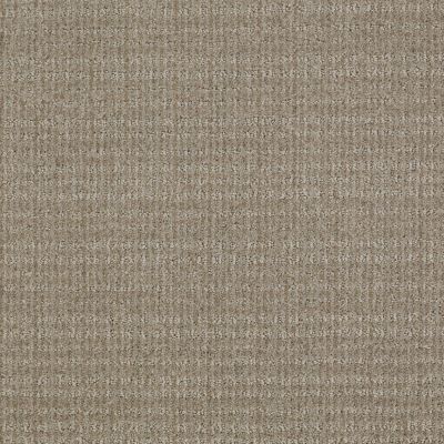 Shaw Floors Shaw Flooring Gallery Unleashed Gray Flannel 00511_5514G