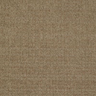 Shaw Floors Shaw Flooring Gallery Unleashed Prairie 00710_5514G
