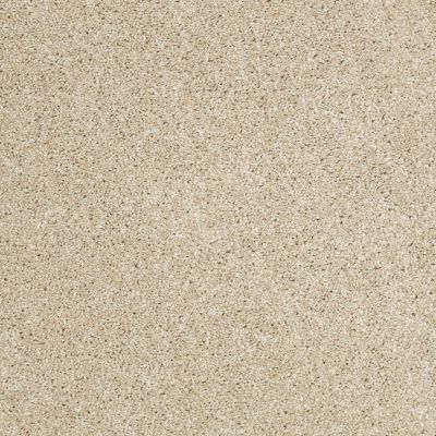 Shaw Floors Shaw Flooring Gallery Canvas Dunes 00102_5518G