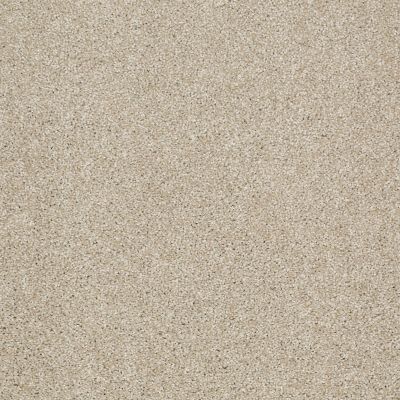 Shaw Floors Shaw Flooring Gallery Canvas Frost 00104_5518G