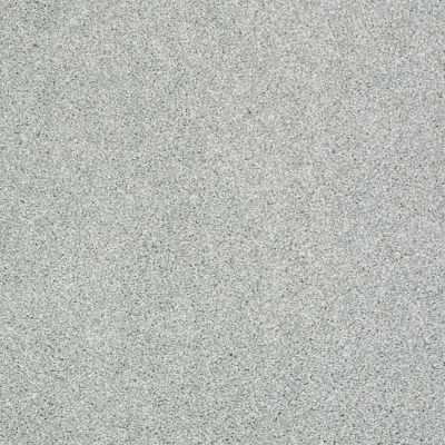 Shaw Floors Shaw Flooring Gallery Canvas Drizzle 00414_5518G