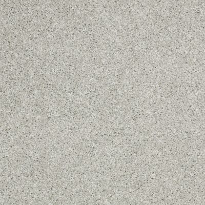 Shaw Floors Shaw Flooring Gallery Canvas Sea Salt 00512_5518G