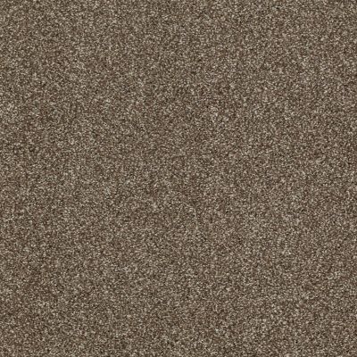Shaw Floors Shaw Flooring Gallery Canvas Townhouse 00704_5518G