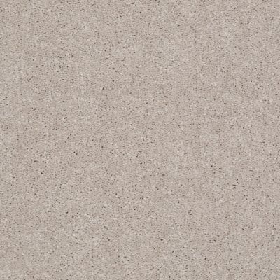 Shaw Floors Shaw Flooring Gallery Challenge Accepted I 12′ Almond Bark 00106_5522G