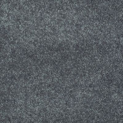 Shaw Floors Shaw Flooring Gallery Challenge Accepted I 12′ Charcoal 00504_5522G