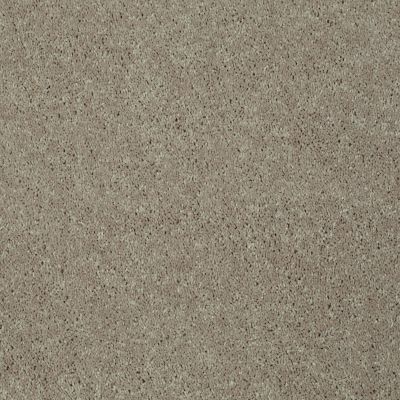 Shaw Floors Shaw Flooring Gallery Challenge Accepted I 12′ Natural Beige 00700_5522G