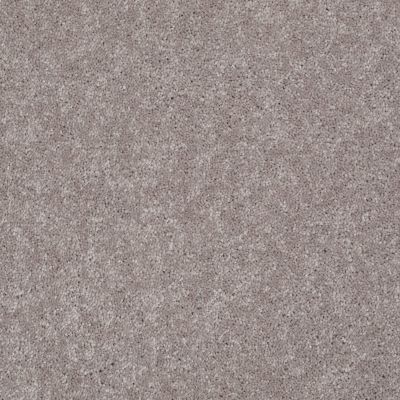 Shaw Floors Shaw Flooring Gallery Challenge Accepted I 12′ Mocha Frost 00702_5522G