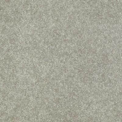 Shaw Floors Shaw Flooring Gallery Challenge Accepted II 15′ Wild Rice 00105_5528G