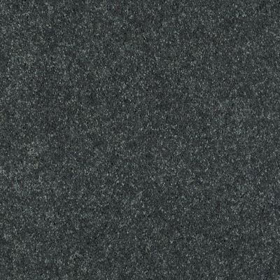 Shaw Floors Shaw Flooring Gallery Challenge Accepted II 15′ Aspen 00302_5528G
