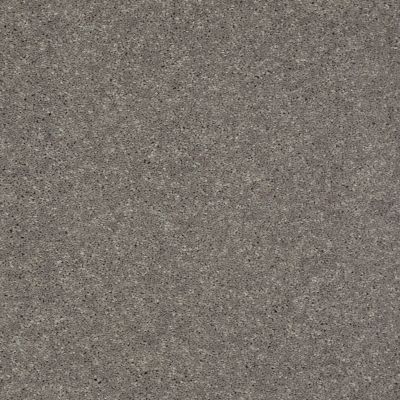 Shaw Floors Shaw Flooring Gallery Challenge Accepted II 15′ Thunder 00503_5528G