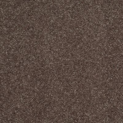Shaw Floors Shaw Flooring Gallery Challenge Accepted II 15′ Briar Patch 00703_5528G