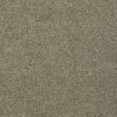 Shaw Floors Shaw Flooring Gallery Inspired By II Smooth Slate 00704_5560G