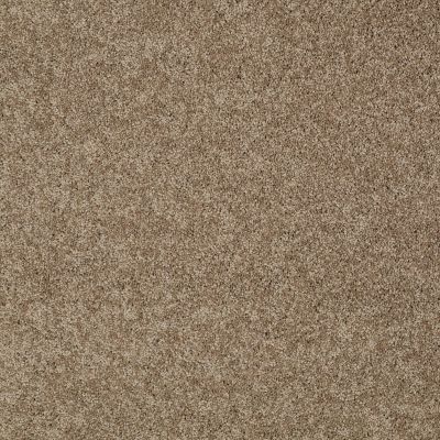 Shaw Floors Shaw Flooring Gallery Inspired By II Saffron 00757_5560G