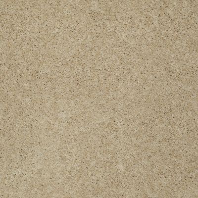 Shaw Floors Inspired By III Mesa 00105_5562G