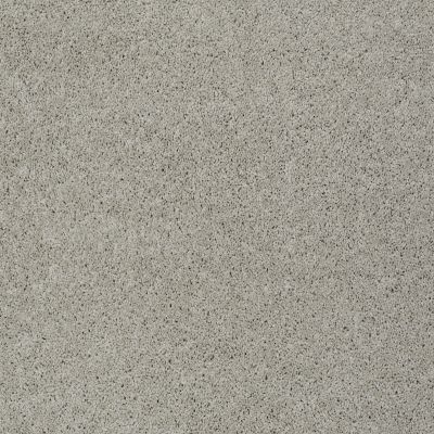 Shaw Floors Inspired By III Textured Canvas 00150_5562G