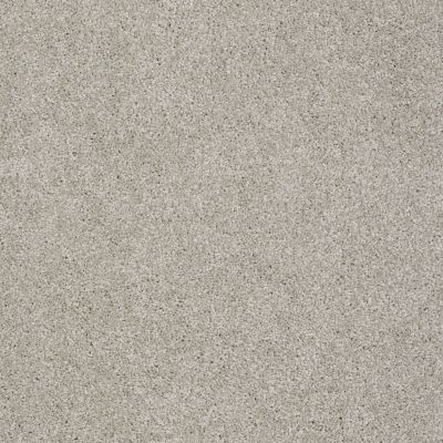 Shaw Floors Inspired By III Glaze 00154_5562G