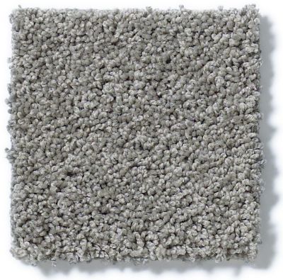 Shop Shaw Floors Inspired By Iii Charcoal 00551 5562g Carpet Shelley Carpets