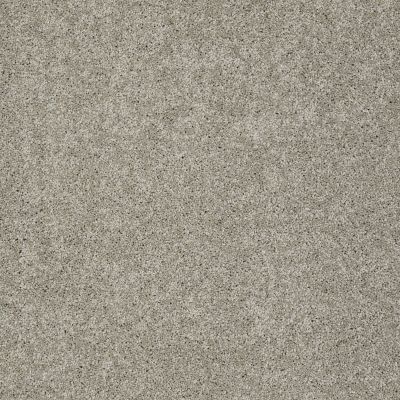 Shaw Floors Inspired By III Rocky Coast 00750_5562G