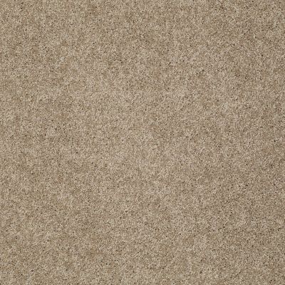 Shaw Floors Inspired By III Cappuccino 00756_5562G