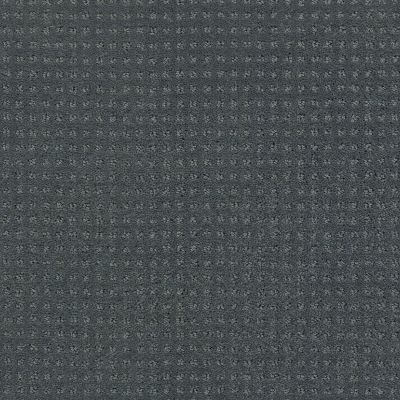 Shaw Floors Shaw Flooring Gallery Inspired By Pattern Atmosphere 00552_5563G