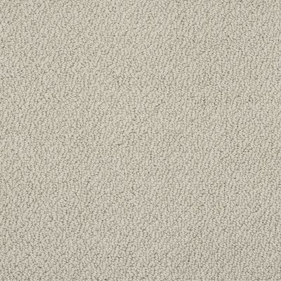 Shaw Floors Shaw Flooring Gallery Subtle Shimmer Loop Cityscape 00109_5568G