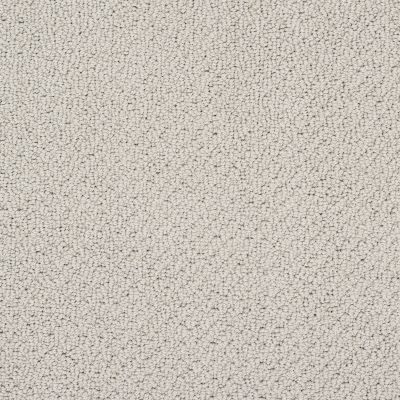 Shaw Floors Shaw Flooring Gallery Subtle Shimmer Loop Textured Canvas 00150_5568G
