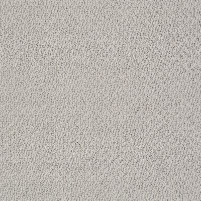 Shaw Floors Shaw Flooring Gallery Subtle Shimmer Loop Ash 00550_5568G