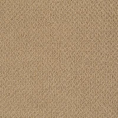 Shaw Floors Shaw Flooring Gallery Subtle Shimmer Loop Honey Pot 00722_5568G