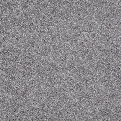 Shaw Floors Shaw Flooring Gallery Premier Role Sterling 00500_5571G