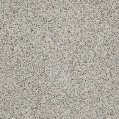 Shaw Floors Shaw Flooring Gallery Perfectly Timed Apple Blossom 00150_5572G